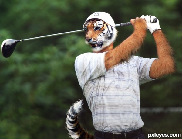 Tiger Woods